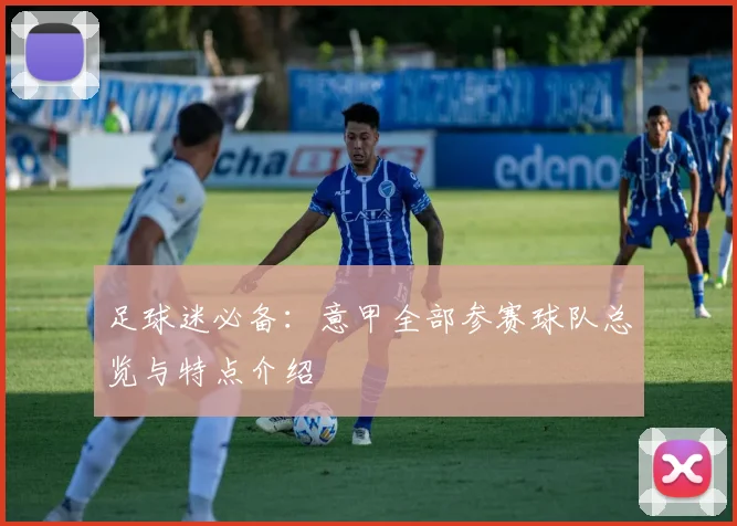 足球迷必备：意甲全部参赛球队总览与特点介绍